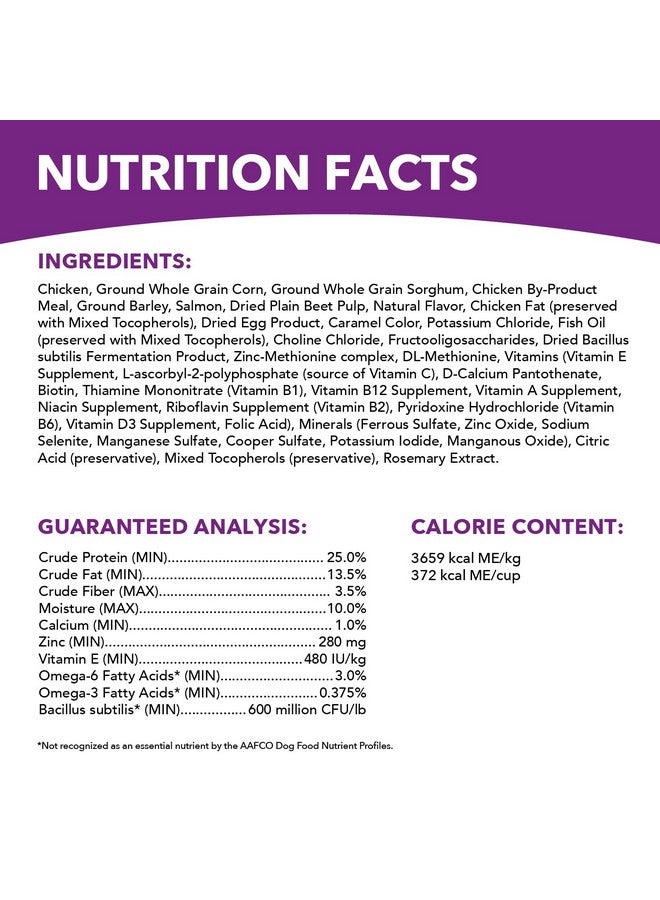 Iams Advanced Health Skin & Coat Adult Dry Dog Food Chicken and Salmon Recipe, 6 lb. Bag - Image 5