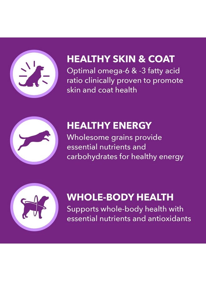 Iams Advanced Health Skin & Coat Adult Dry Dog Food Chicken and Salmon Recipe, 6 lb. Bag - Image 4