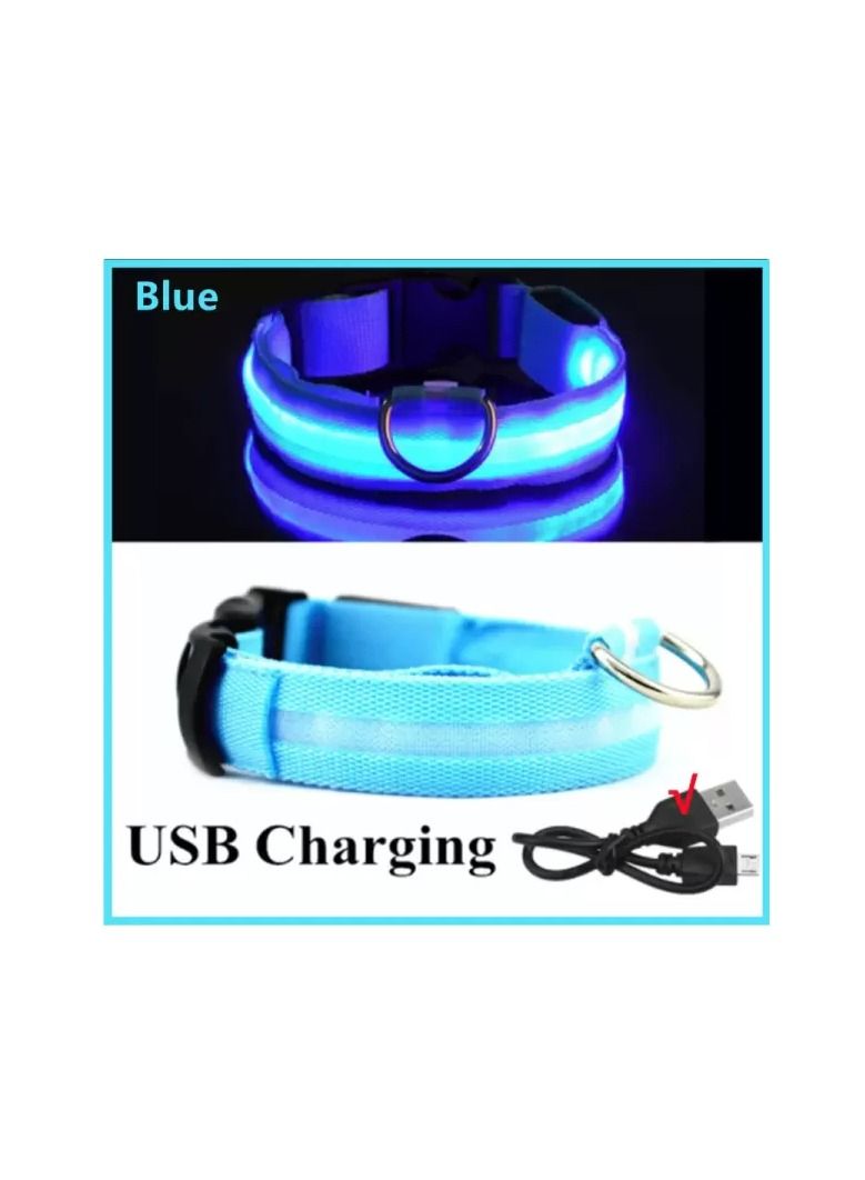 Dog Collar Belt Electronic LED, Rechargeable Luminous - USB  - Image 1