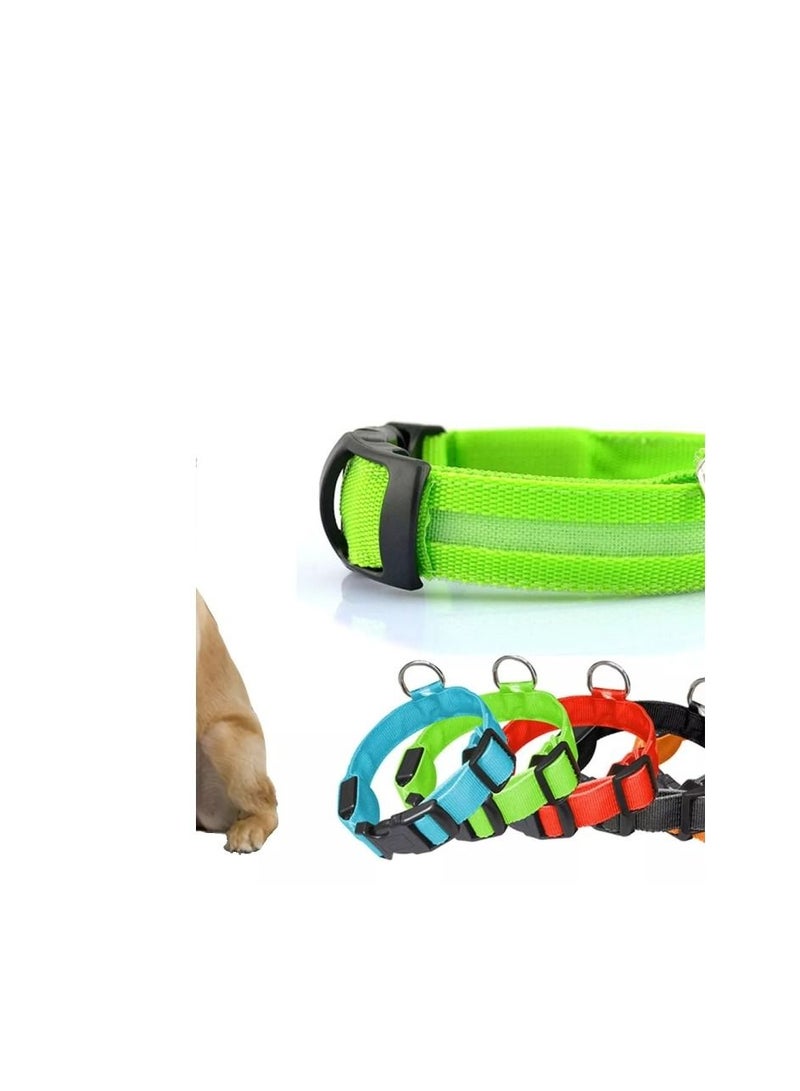 Dog Collar Belt Electronic LED, Rechargeable Luminous - USB  - Image 3