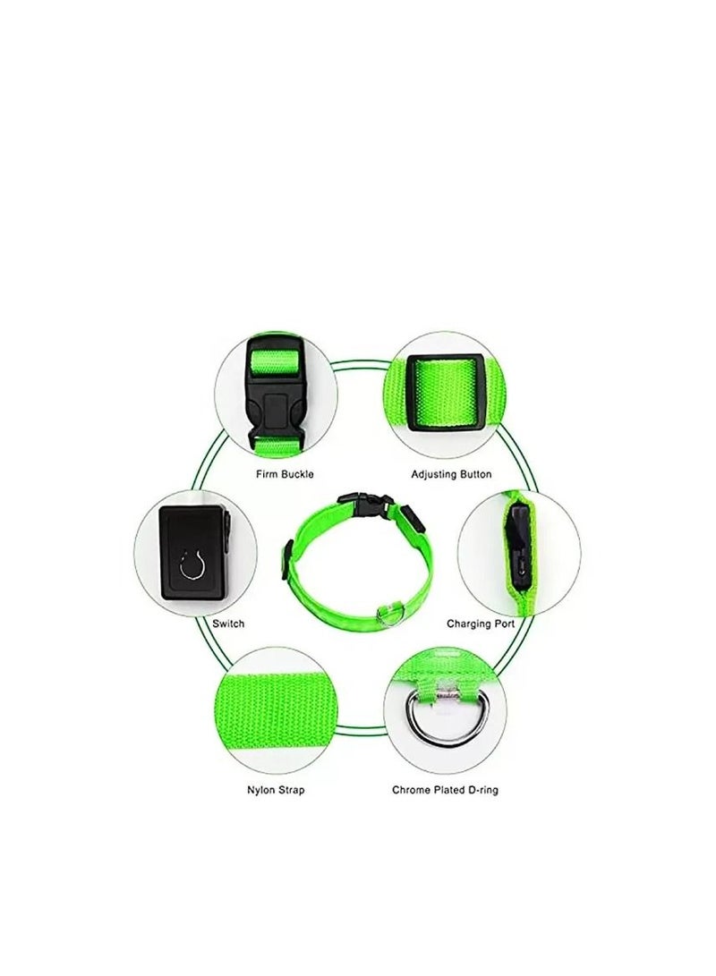 Dog Collar Belt Electronic LED, Rechargeable Luminous - USB  - Image 4
