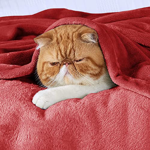 VAS COLLECTIONS Polyester Premium Plush Summer Single Bed Dohar/Ac Blanket | 250 GSM Reversible Lightweight Cozy Soft for Bed, Sofa, Couch, Travel & Camping| 225X150 Cm - Maroon, Solid - Image 5