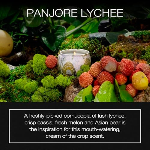 Voluspa Panjore Lychee Petite Tin Candle , 4 Ounces - Image 2