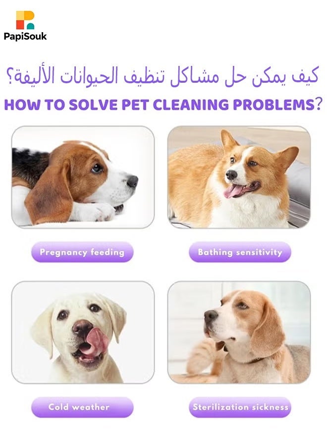 PapiSouk 10 PCS Pet Cleaning Wipes Gloves,Pet Deodorizing Wipes for Dogs Cats,Unscented Bathing Wipes for Dog/Cat, Pet Grooming Gloves Wipes for Daily and Travel Use - Image 5
