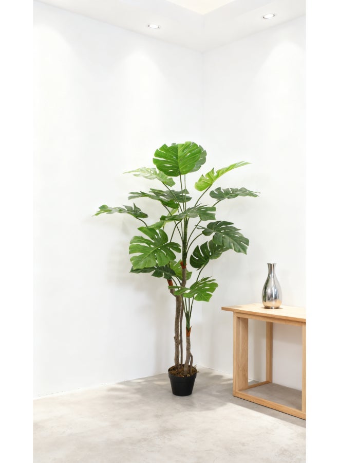 Noon East Monstera 155cm (5 ft) Tall Artificial Tree with Pot | Floor Plant with Lifelike Design & Texture - Green | Decorative Natural Texture Tree for Home, Living Room, Study & Office spaces - Image 5