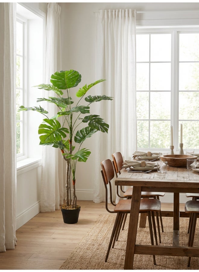 Noon East Monstera 155cm (5 ft) Tall Artificial Tree with Pot | Floor Plant with Lifelike Design & Texture - Green | Decorative Natural Texture Tree for Home, Living Room, Study & Office spaces - Image 2