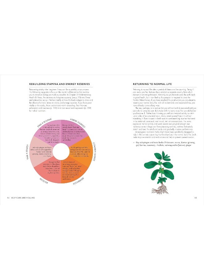 null - The Home Herbal: Restorative Herbal Remedies for the Mind, Body, and Soul - Image 1