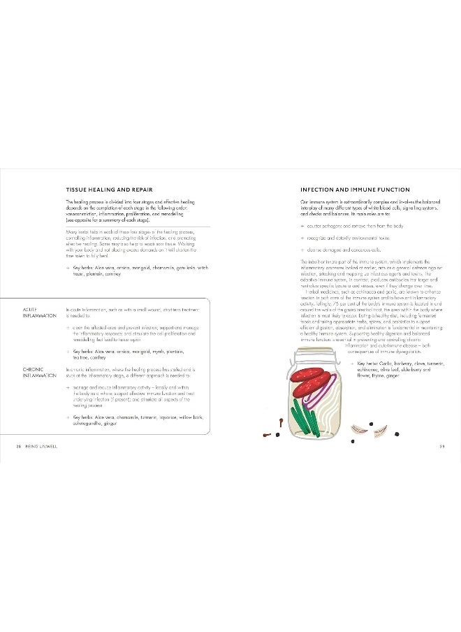 null - The Home Herbal: Restorative Herbal Remedies for the Mind, Body, and Soul - Image 1