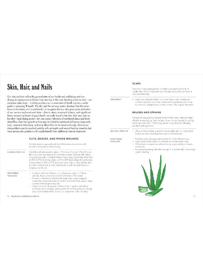 null - The Home Herbal: Restorative Herbal Remedies for the Mind, Body, and Soul - Image 1