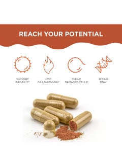 Healthycell Ac-11 Supplement - Supports Cell Dna Repair From Cat'S Claw - Anti Aging, Stem Cell Health, Immune Boost - 30 Capsules  - Image 3