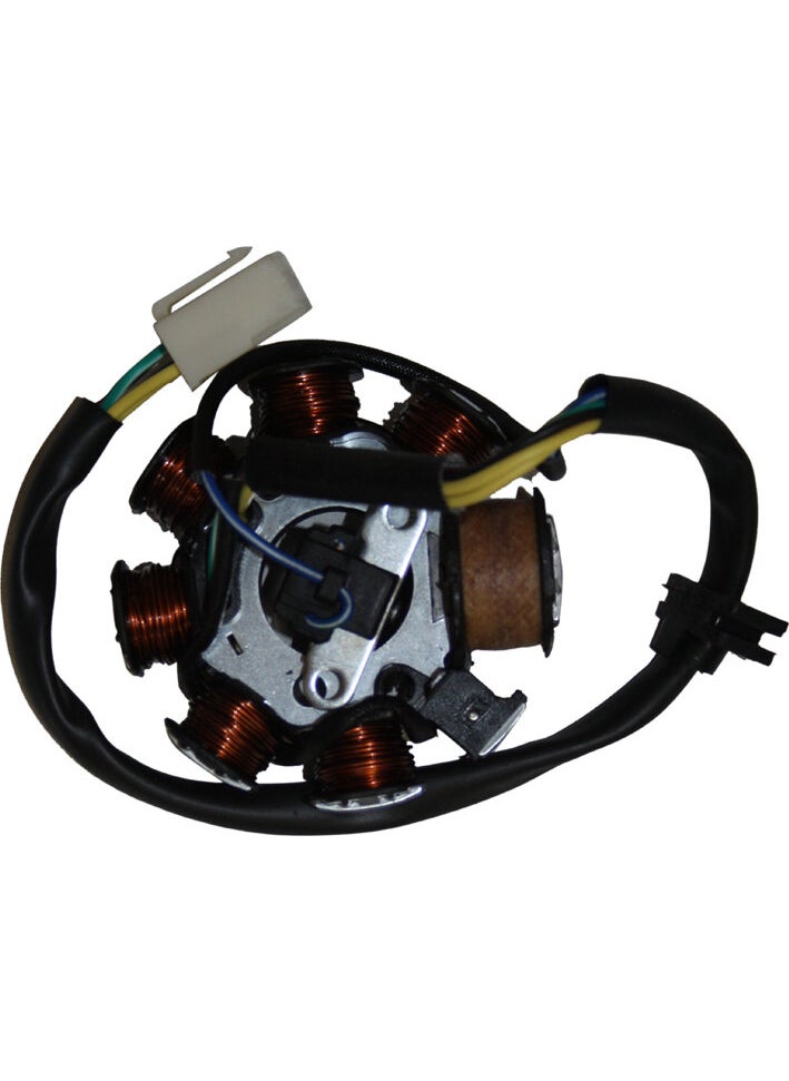 Mondial 100 Kh Stator Complete 