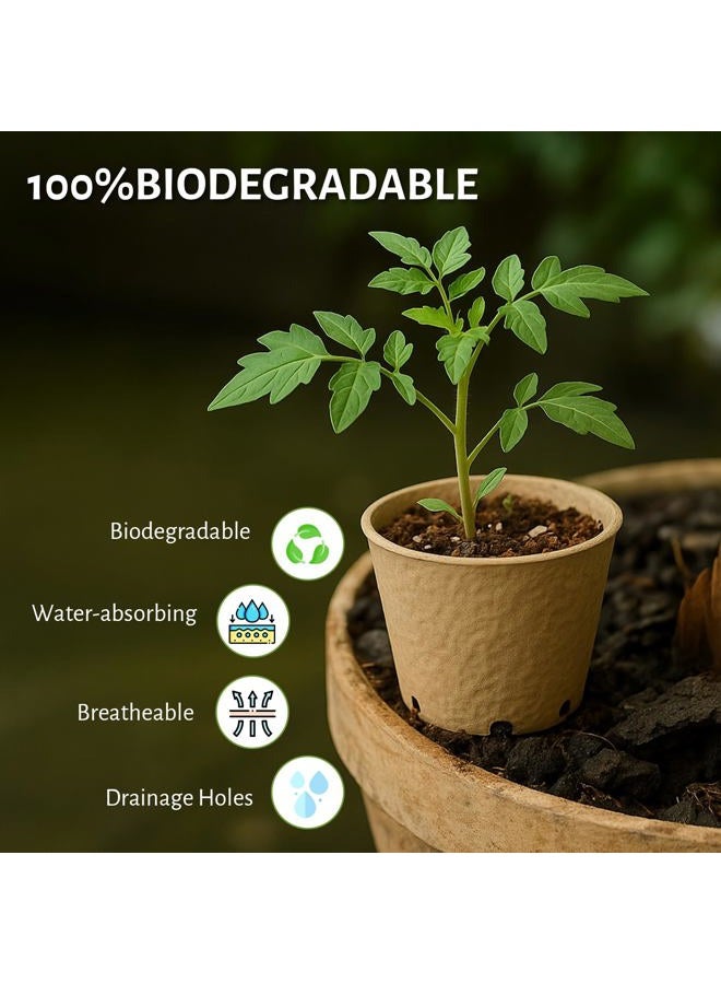 Bluepro 120 Packs 3.15 Inch Peat Pots, Biodegradable Pots for Seedlings with Drainage Holes, Herb Seed Starter - Image 3