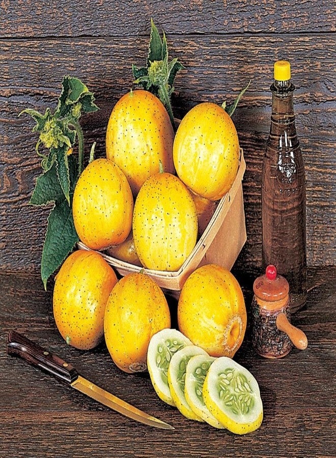Burpee 'Lemon' Cucumber Seeds, 100 Non-GMO seeds, Heirloom - Image 2