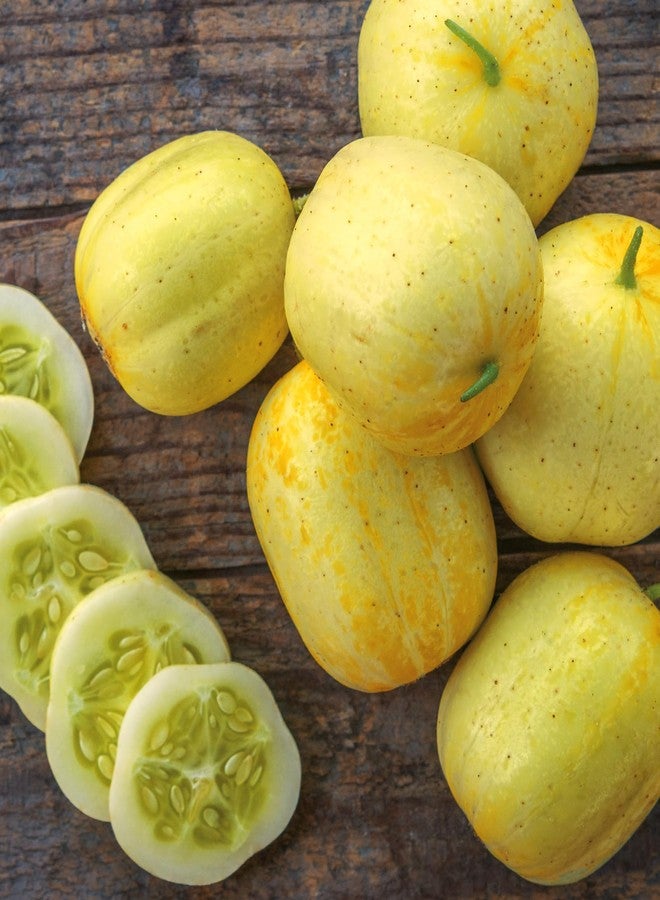 Burpee 'Lemon' Cucumber Seeds, 100 Non-GMO seeds, Heirloom - Image 1