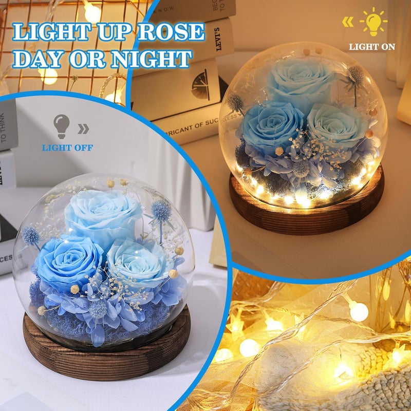 FIACO هدايا عيد الحب لها زهور محفوظة في قبة زجاجية ورود أبدية تدوم طويلاً هدايا عيد ميلاد للنساء الأم الجدة الزوجة الصديقة زهور زرقاء للأبد للتوصيل برايم - Image 2
