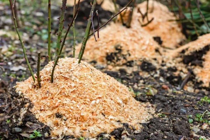 غبار خشب الساج العام 3 للزراعة والحيوانات الأليفة للبالغين بني ريفي عادي 1E3 جرام - Image 2