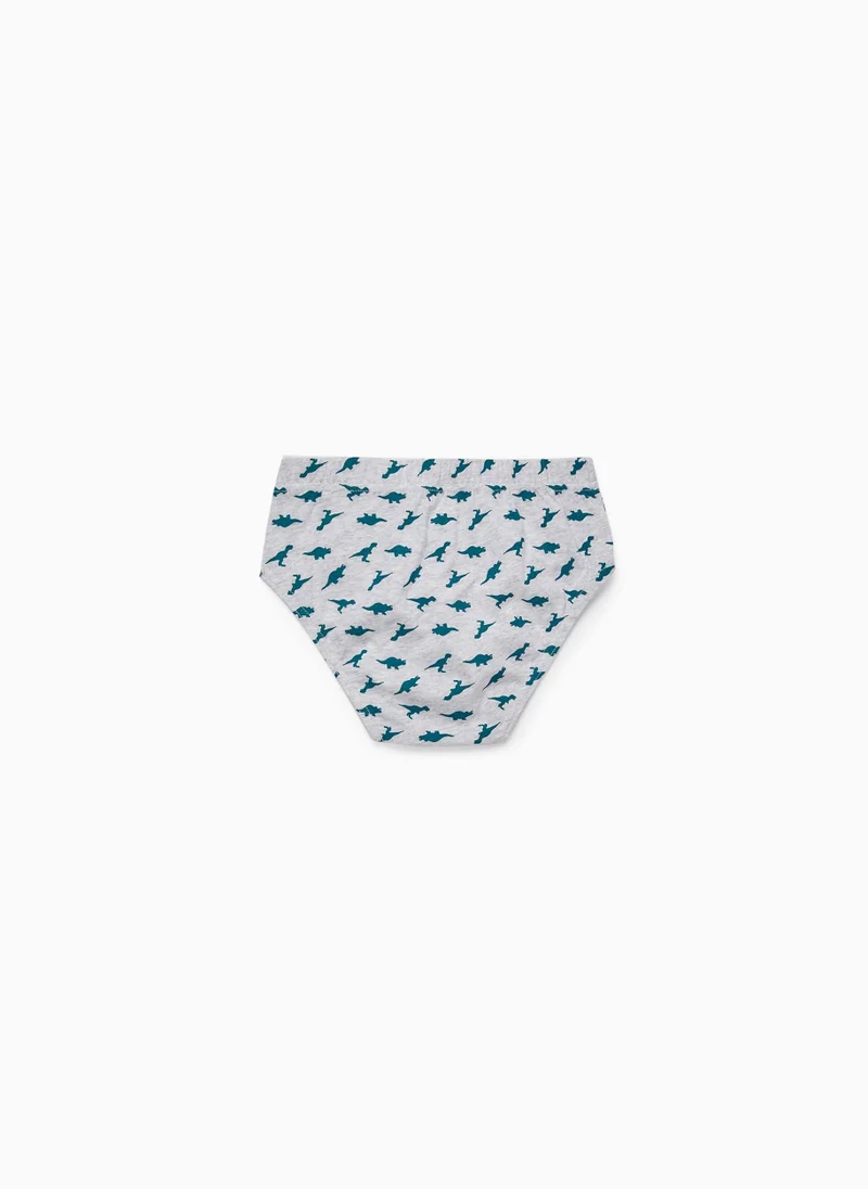 زيبي 5-Pack Cotton Briefs for Boys 'Dinosaurs', Green/Grey/White