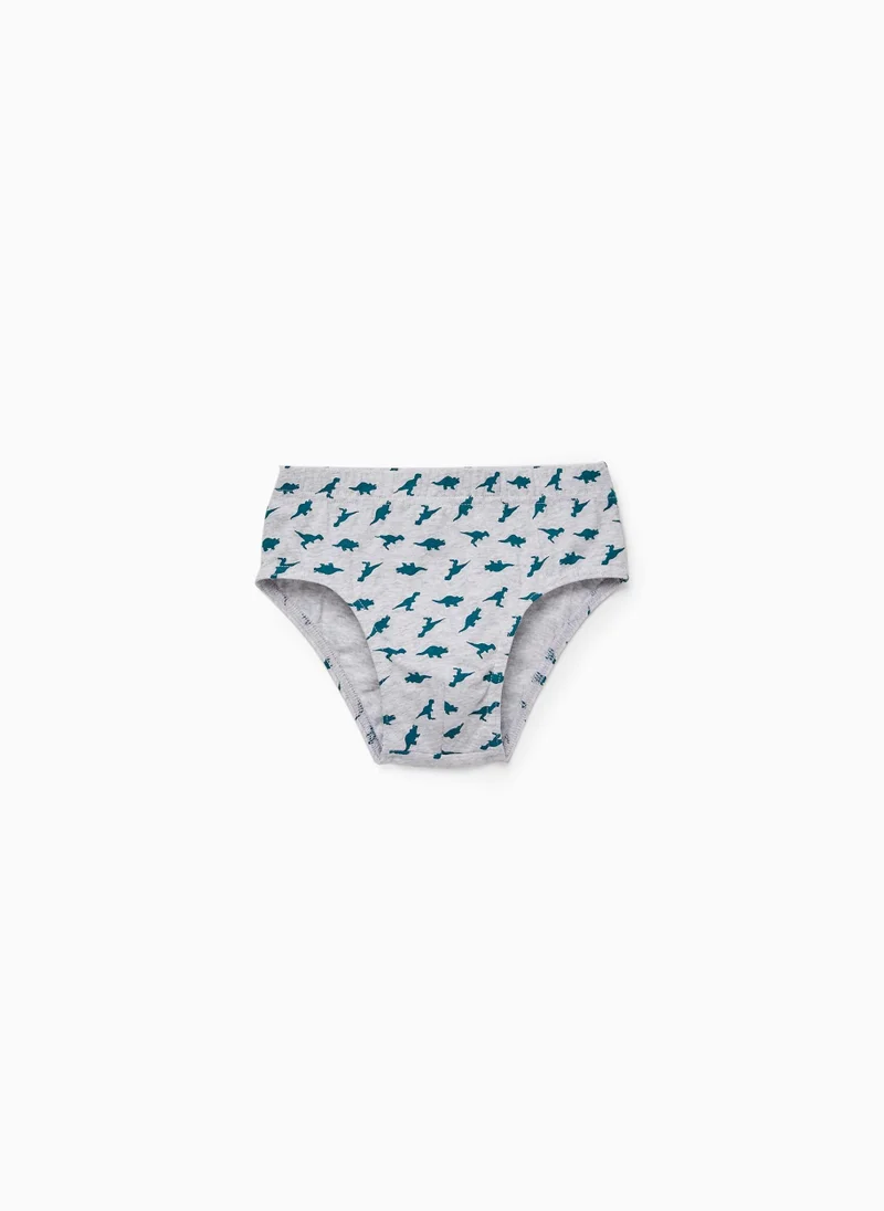 زيبي 5-Pack Cotton Briefs for Boys 'Dinosaurs', Green/Grey/White