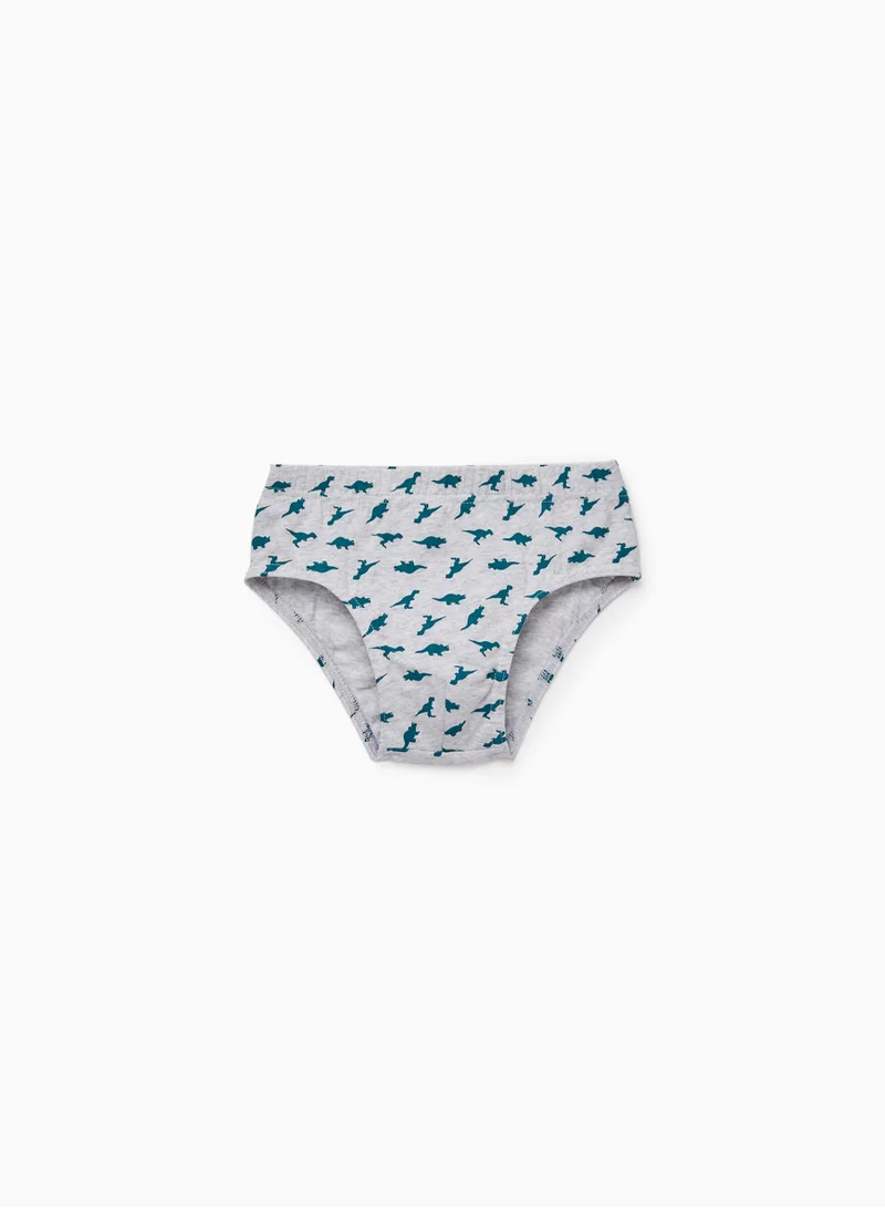 زيبي 5-Pack Cotton Briefs for Boys 'Dinosaurs', Green/Grey/White