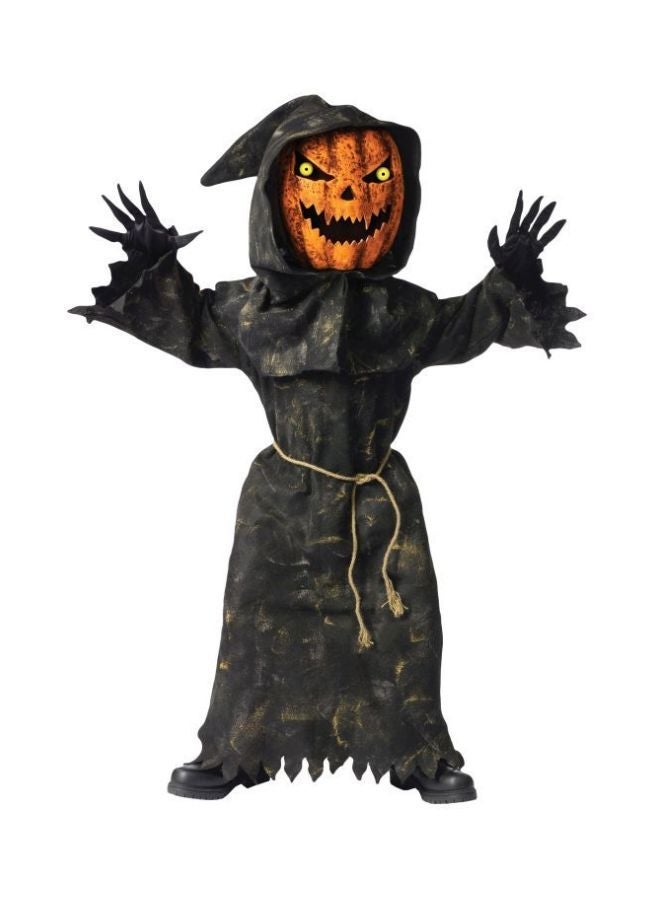 NIBEMINENT Bobble Head Pumpkin Ghoul Costume 130112L L