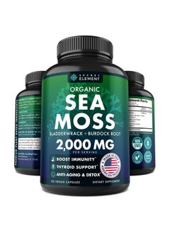 Organic Sea Moss Capsules - Burdock Root, Irish Moss and Bladderwrack Capsules for Immune System, Gut, Skin & Energy - 120 Irish SeaMoss Pills with Raw Sea Moss Powder