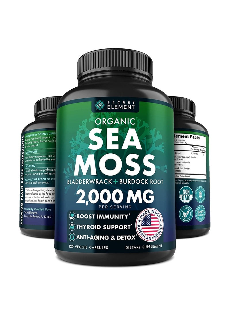 SECRET ELEMENT - Organic Sea Moss Capsules - Burdock Root, Irish Moss and Bladderwrack Capsules for Immune System, Gut, Skin & Energy - 120 Irish SeaMoss Pills with Raw Sea Moss Powder - Image 1