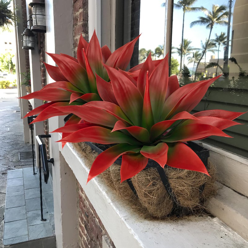 Ttranewsoo Artificial Agave Plants,Large UV Resistant Fake Agave Planters for Indoor and Outdoor Decorating Tropical Plant Succulents Greenery Indoor Decor (2Pack,18" Red) - Image 2