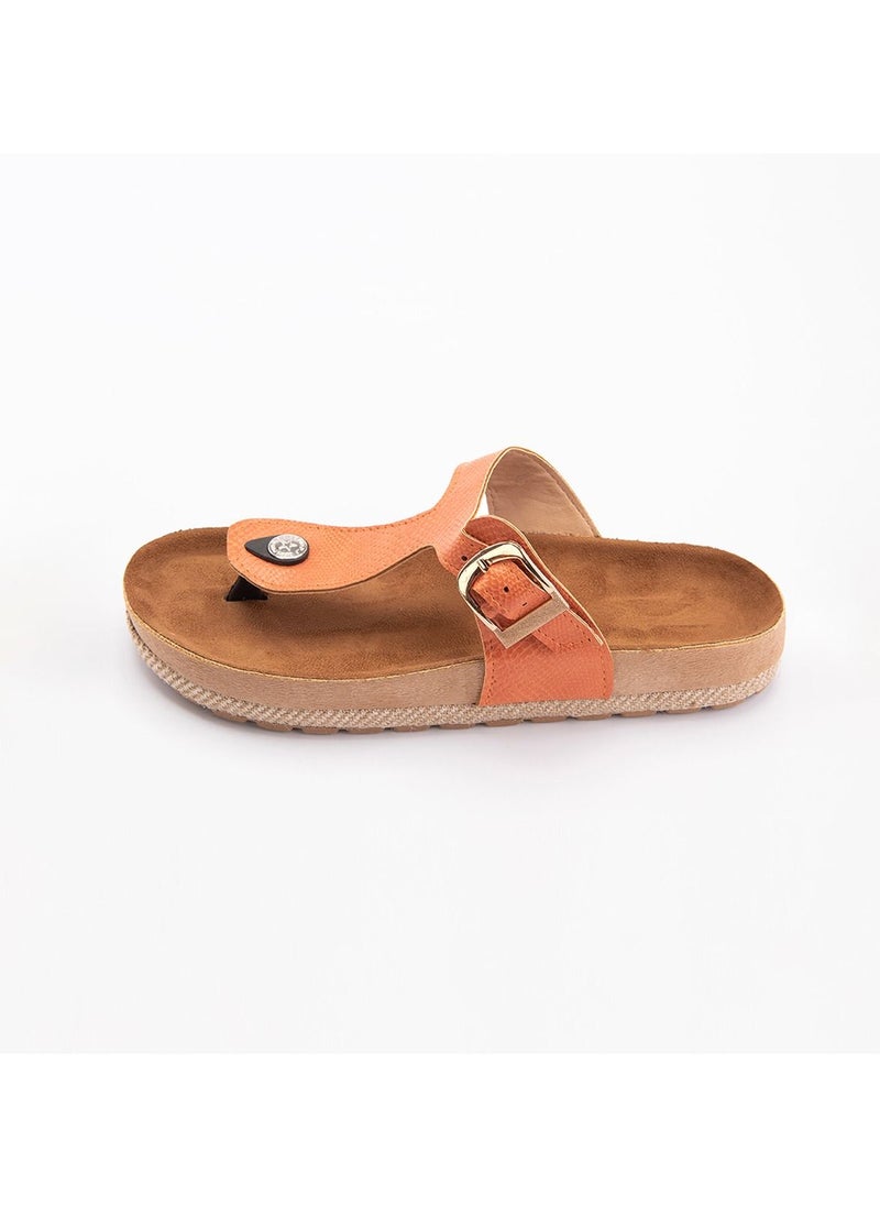 Zahwa - Slipper 1 Buckle Design - Image 1