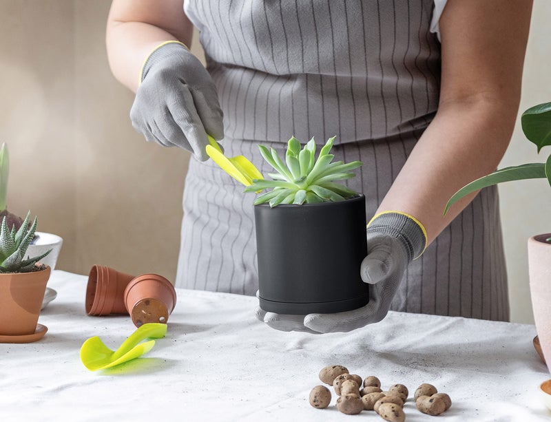 D'vine Dev Pack of 20 Plastic Plant Pots (4 Set of 2 Inch, 2.5 Inch, 3 Inch, 3.5 Inch, 4 Inch) Small Garden Planter Pots for Plant with Drainage Holes and Saucers, Black, 74-U-B - Image 3