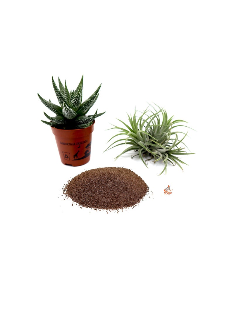 KNP Disper CaB Best for Boron & Calcium Deficiencies 1 kg - Image 3