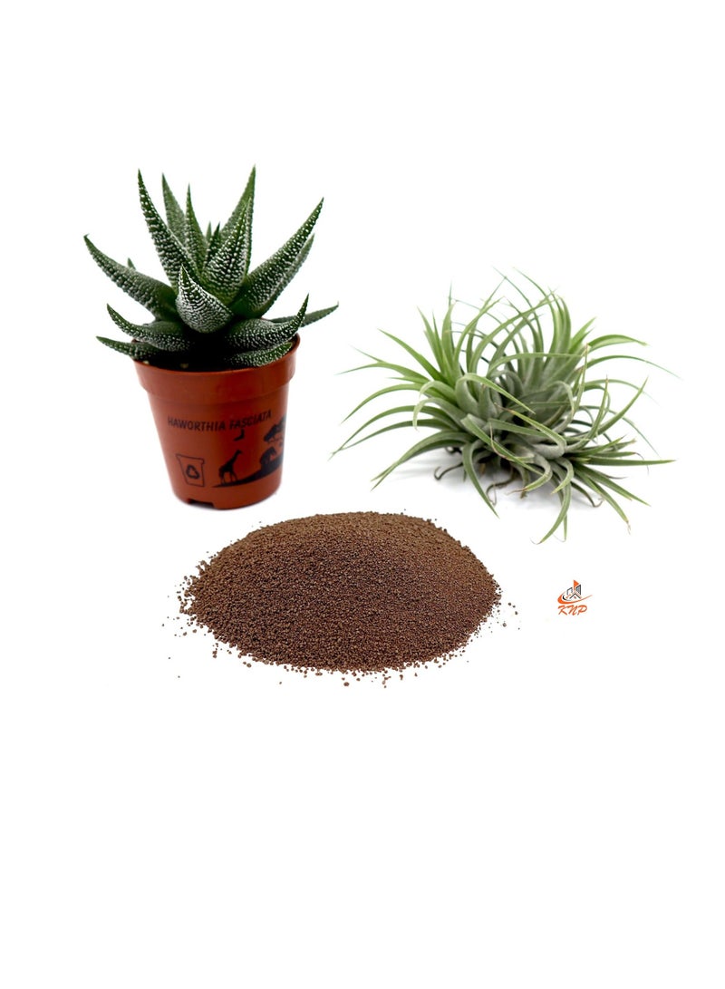 KNP Disper CaB Best for Boron & Calcium Deficiencies 1 kg - Image 1