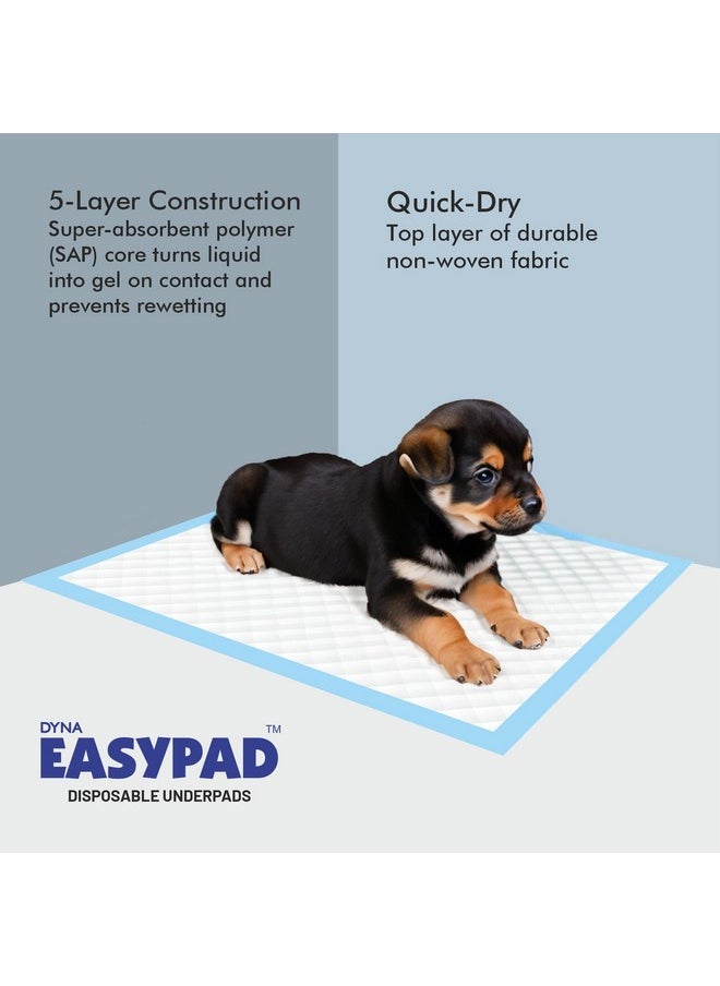 Easypad Pet Training Pads for Dogs, Cats | High Absorption | Pee and Potty Pads | Puppy Training Pads | Quick Drying Surface | Absorbent Core | 56cm x 60cm | Medium Size | 50 Count