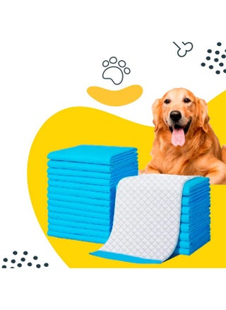 Easypad Pet Training Pads for Dogs, Cats | High Absorption | Pee and Potty Pads | Puppy Training Pads | Quick Drying Surface | Absorbent Core | 56cm x 60cm | Medium Size | 50 Count - pzsku/ZA4C55EFA8FDD15EFFF5AZ/45/_/1728281019/68a4b64f-9d26-412e-a814-c2e780c5a3d2