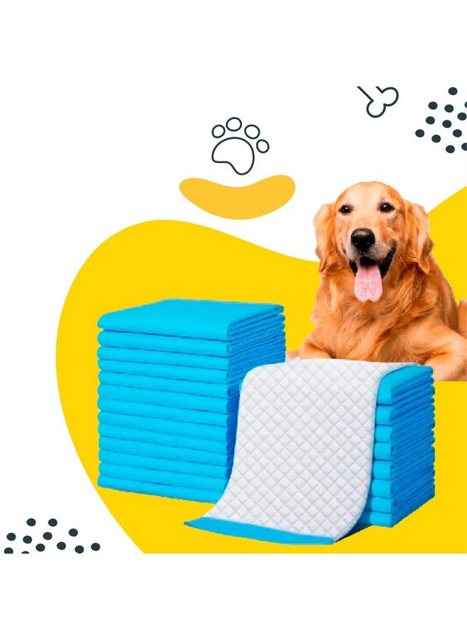 Easypad Pet Training Pads for Dogs, Cats | High Absorption | Pee and Potty Pads | Puppy Training Pads | Quick Drying Surface | Absorbent Core | 56cm x 60cm | Medium Size | 50 Count