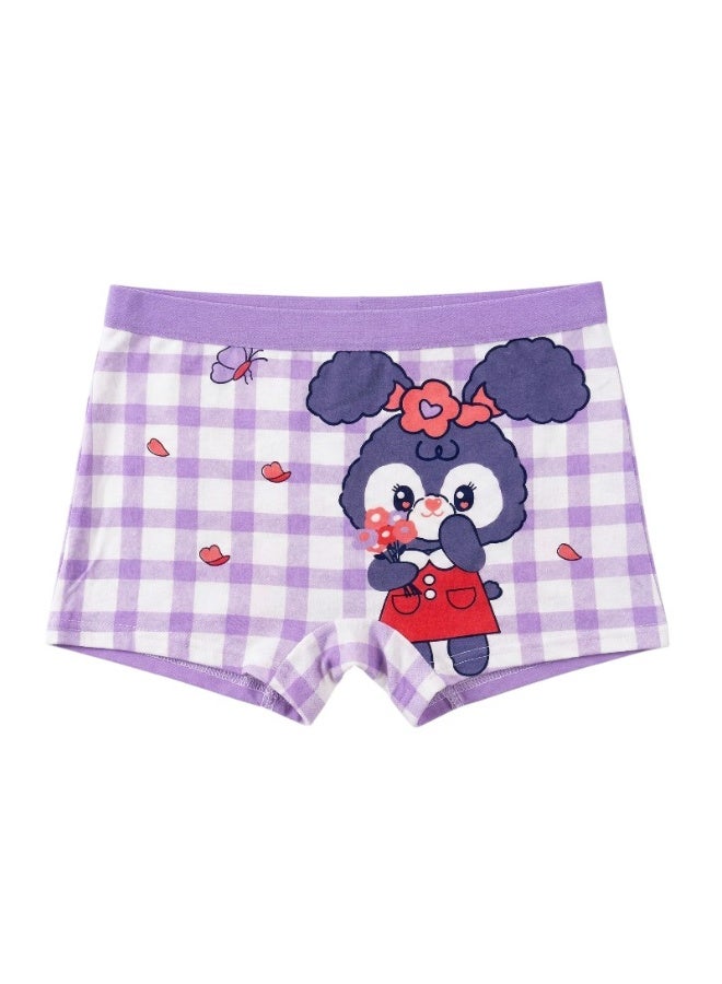 Bidani Pure Cotton Soft Comfort Panties – 4 PC Girl - Image 5