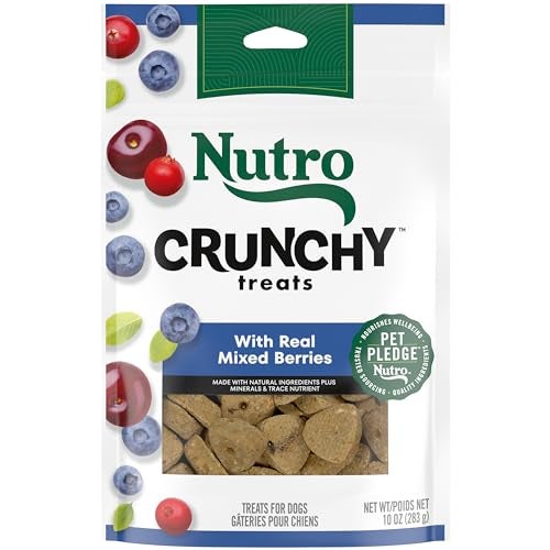 Nutro Crunchy Dog Treats with Real Mixed Berries 10 oz Bag