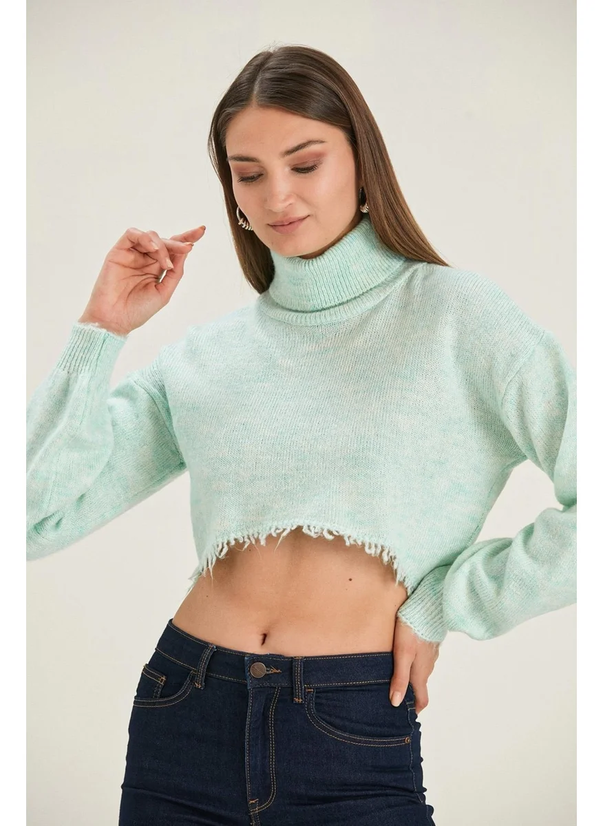 Alexandergardi Alexandergardı Turtleneck Crop Sweater (B22-5272)