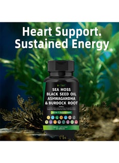 BIYODE 60pcs Sea Moss Capsules，Made with Organic Raw Powder，Plus Bladder wrack & Burdock Root，Sea Vegetable Complex ，Multimineral And Multivitamin Supplements  - Image 2