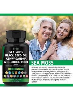 BIYODE 60pcs Sea Moss Capsules，Made with Organic Raw Powder，Plus Bladder wrack & Burdock Root，Sea Vegetable Complex ，Multimineral And Multivitamin Supplements  - Image 4
