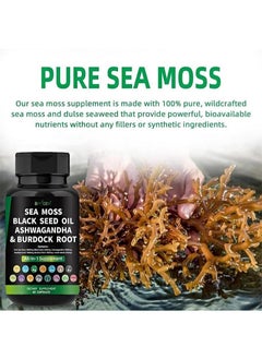 BIYODE 60pcs Sea Moss Capsules，Made with Organic Raw Powder，Plus Bladder wrack & Burdock Root，Sea Vegetable Complex ，Multimineral And Multivitamin Supplements  - Image 3