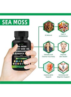 BIYODE 60pcs Sea Moss Capsules，Made with Organic Raw Powder，Plus Bladder wrack & Burdock Root，Sea Vegetable Complex ，Multimineral And Multivitamin Supplements  - Image 5