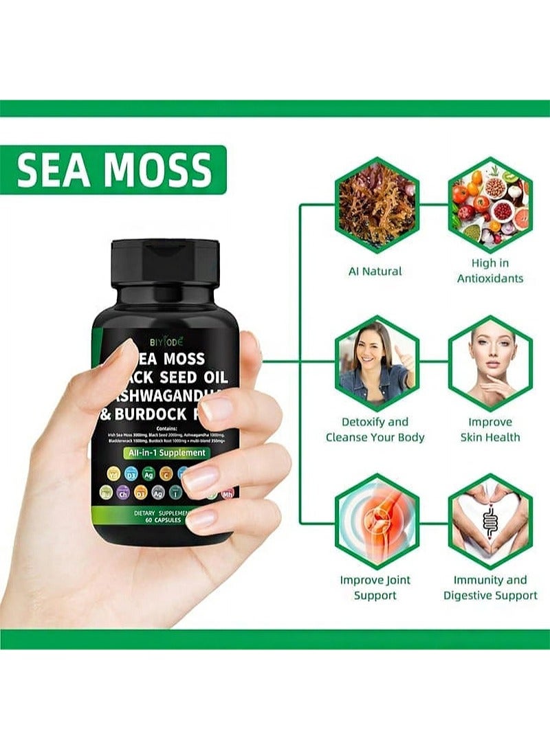 BIYODE 60pcs Sea Moss Capsules，Made with Organic Raw Powder，Plus Bladder wrack & Burdock Root，Sea Vegetable Complex ，Multimineral And Multivitamin Supplements  - Image 5