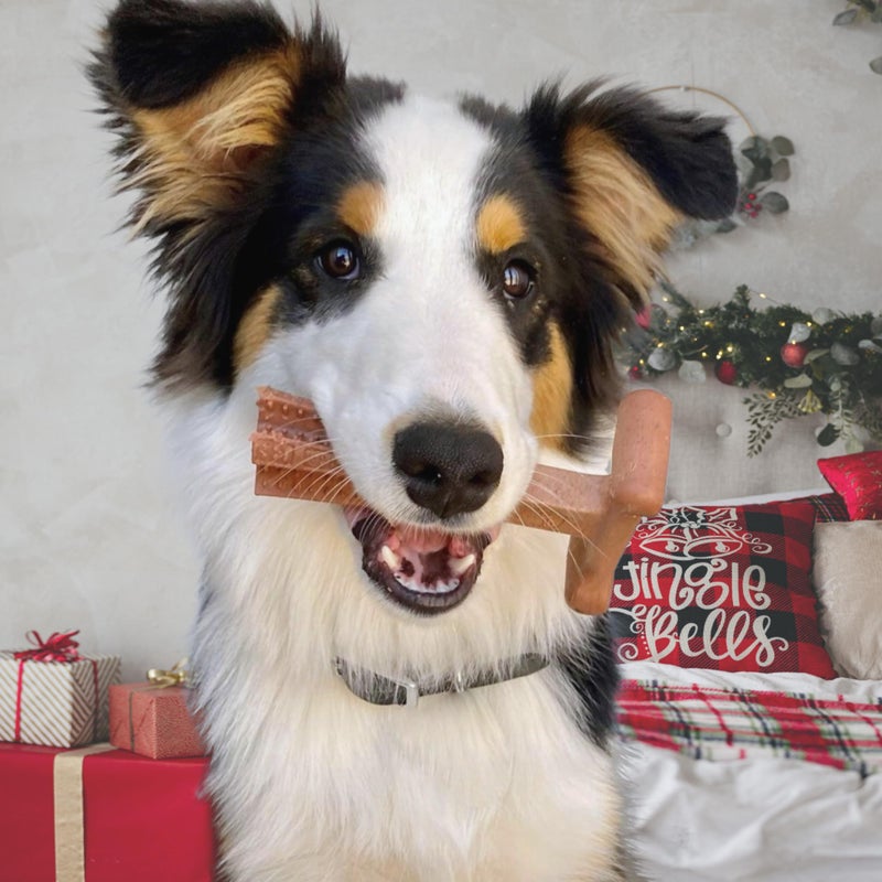 SPOT by Ethical Products 4 in Bambone Plus Easy Grip Peanut Butter, Beef & Chicken Dog Chew Bundle - Bamboo & Nylon Anti Anxiety Bone for Aggressive Chewers & Dental Health for Dogs - Large (3 Pack) - Image 2