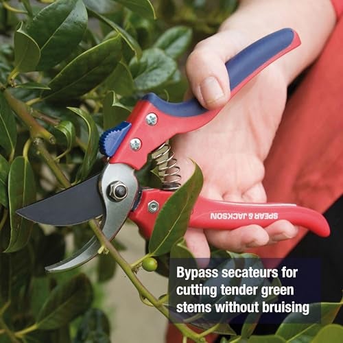 Spear  Jackson Spear & Jackson 7159BS Razorsharp Advantage Secateurs, Bypass Pruner, Red & Blue - Image 3