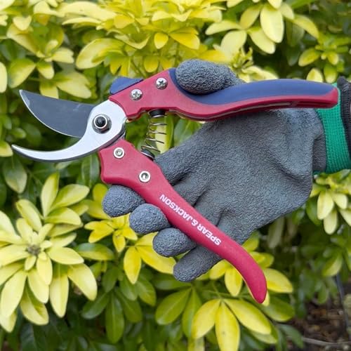Spear  Jackson Spear & Jackson 7159BS Razorsharp Advantage Secateurs, Bypass Pruner, Red & Blue - Image 5