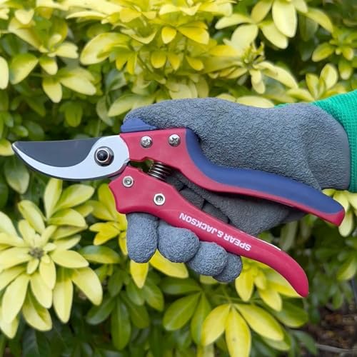 Spear  Jackson Spear & Jackson 7159BS Razorsharp Advantage Secateurs, Bypass Pruner, Red & Blue - Image 4