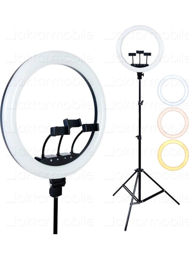 Ring - LED Rl 21" 220V Input Phone Holder Remote Control Bag Selfie Light Set of 3 - Image 1