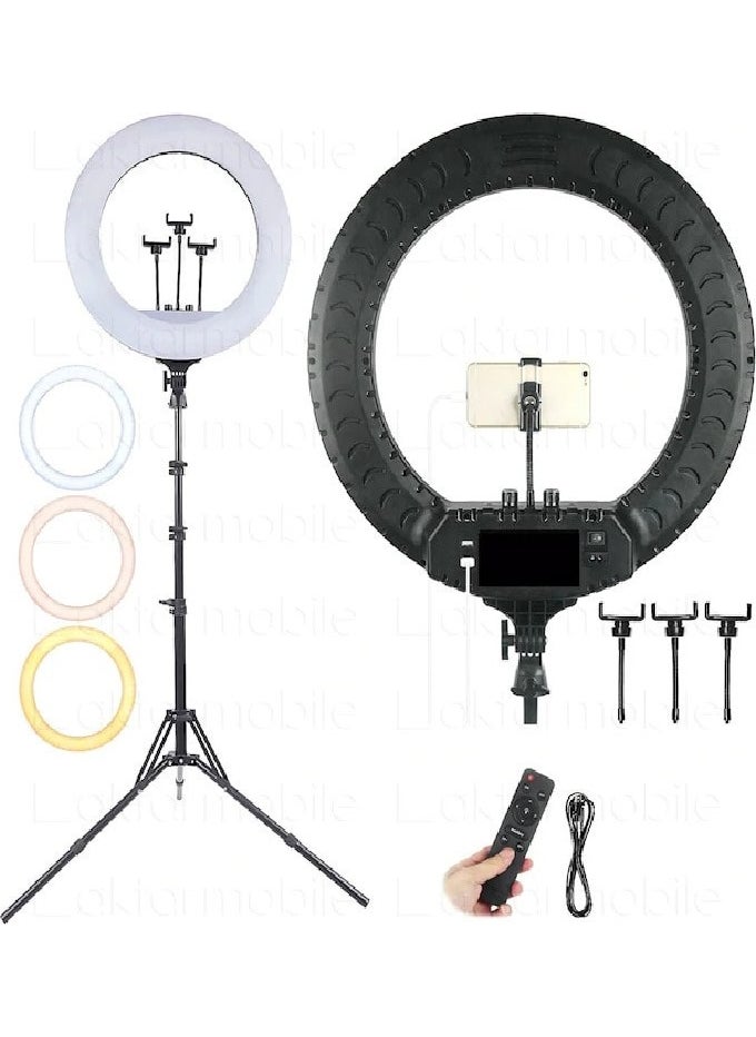 Ring - LED Rl 21" 220V Input Phone Holder Remote Control Bag Selfie Light Set of 3 - Image 1