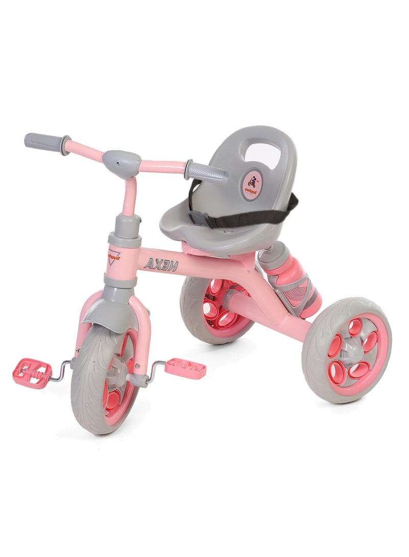 BABYCARA Tricycle with Eva Wheels for Kids 2 to 4 Years with Bottle Holder - Image 1