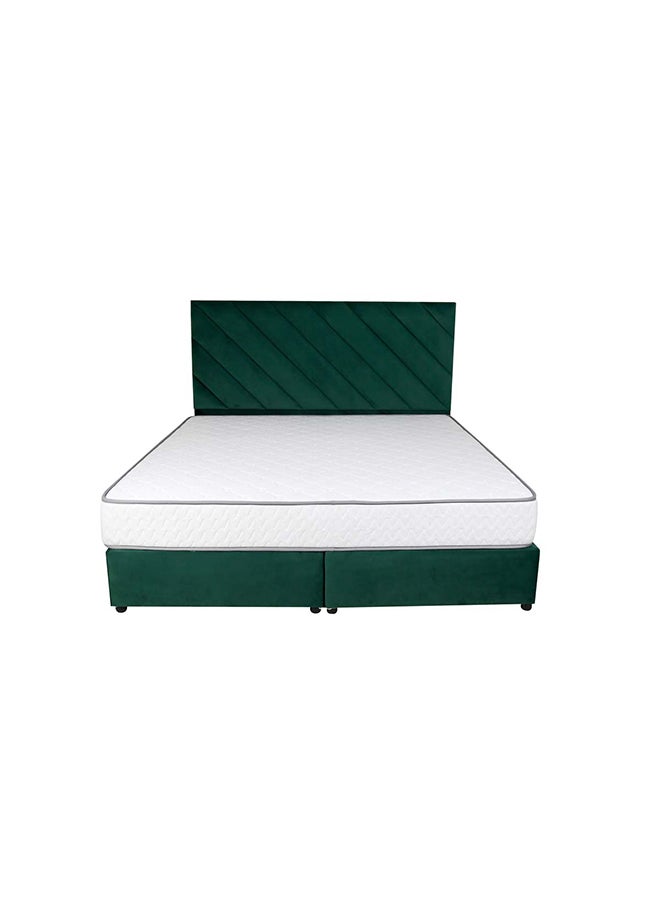 Bed and Mattress Zone Eleganza Upholstered Bed 200x120 Twin Size Green Color  - Image 3